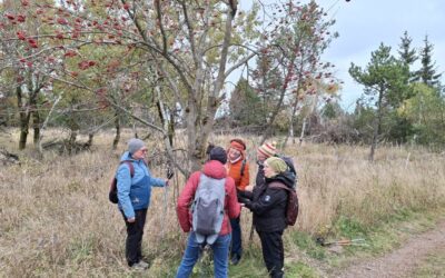 Altenbergs wilde Schätze – eine herbstliche Entdeckungstour